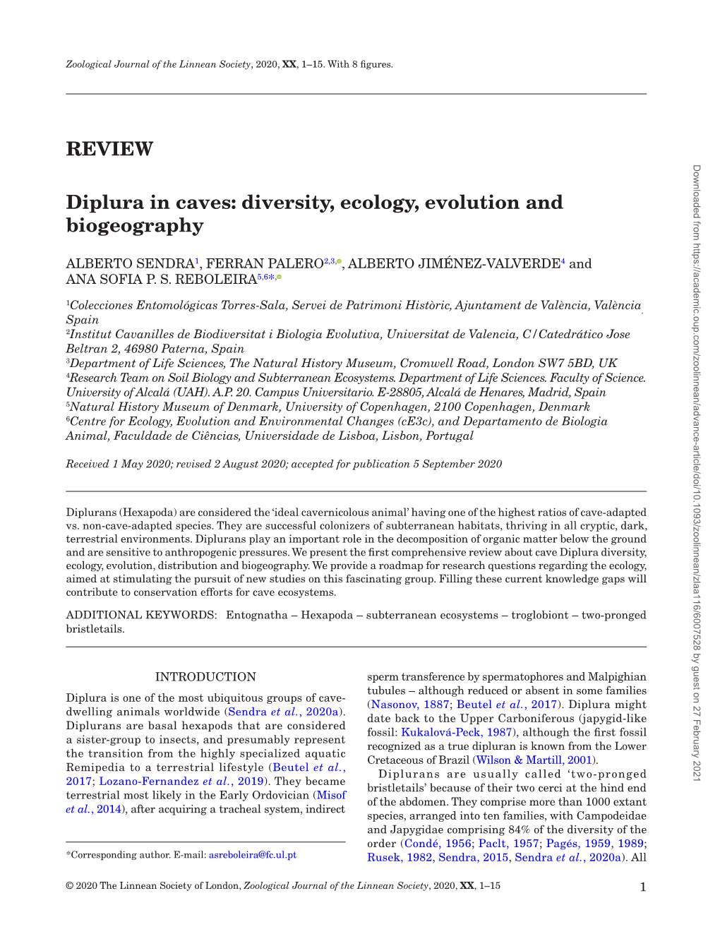 REVIEW Diplura in Caves: Diversity, Ecology, Evolution and Biogeography