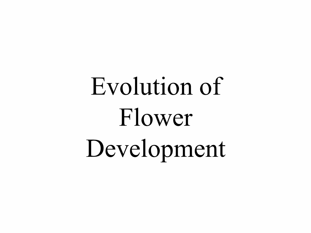 Floral Evo Devo