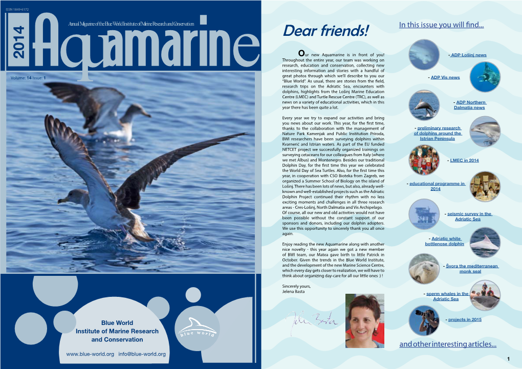 Aquamarine 2014 (.Pdf | 4.40