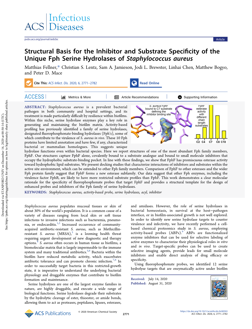 Structural Basis for the Inhibitor and Substrate Specificity of the Unique