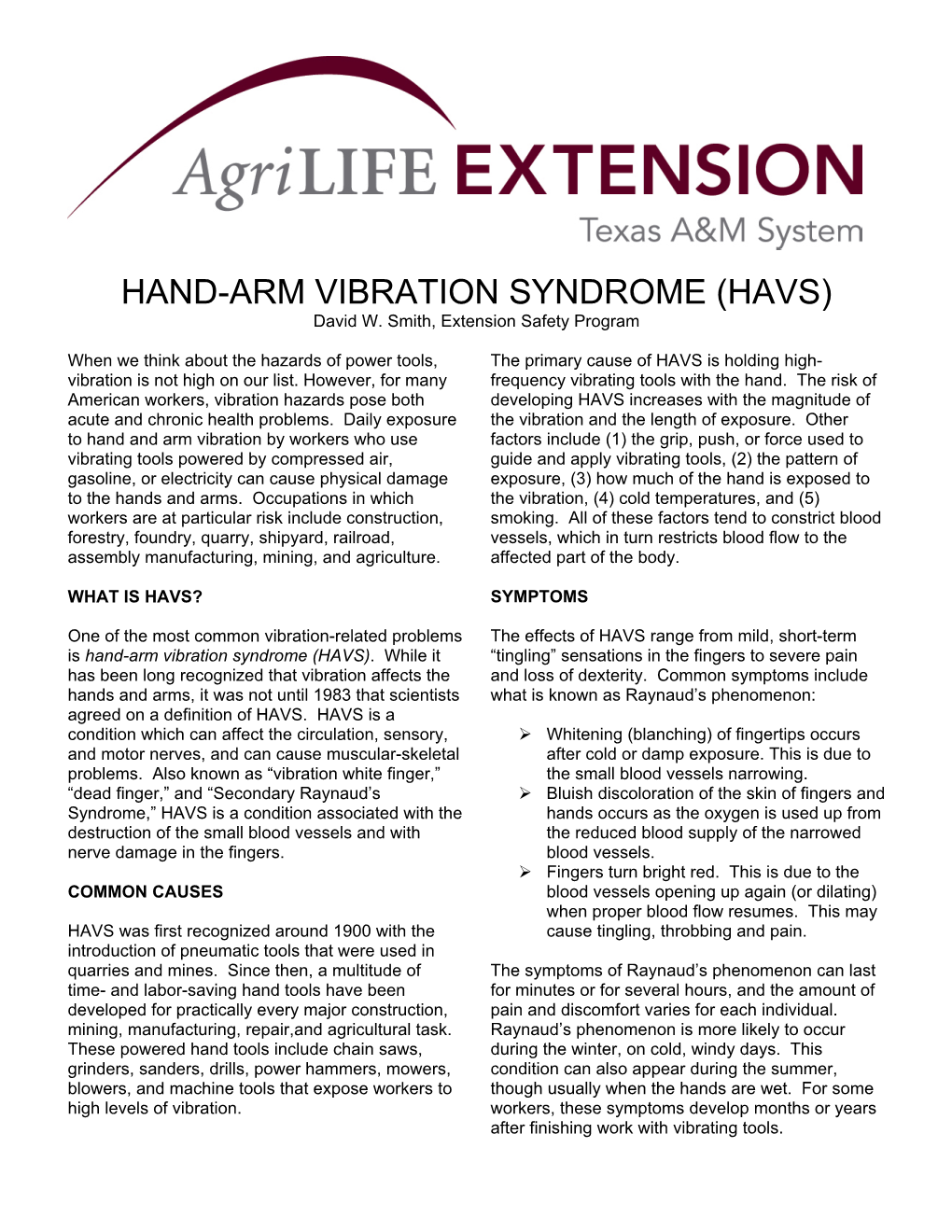 HAND-ARM VIBRATION SYNDROME (HAVS) David W