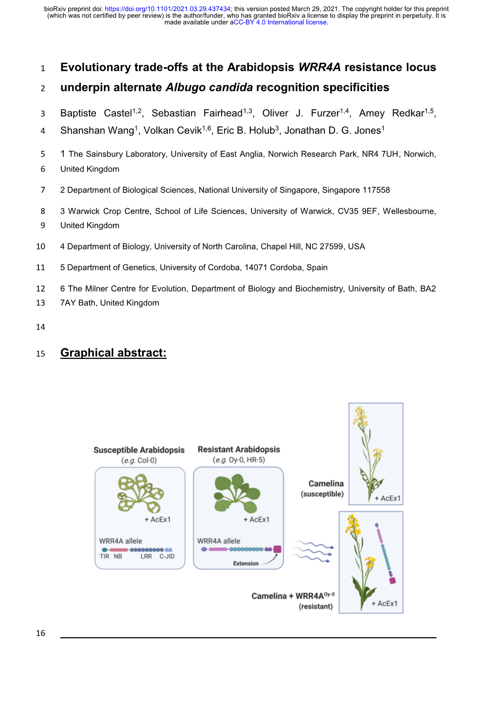 Evolutionary Trade-Offs at the Arabidopsis WRR4A Resistance Locus