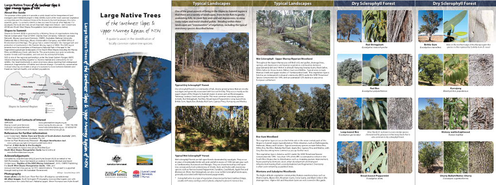 Large Native Trees of the Southwest Slopes and Upper Murray Region Of