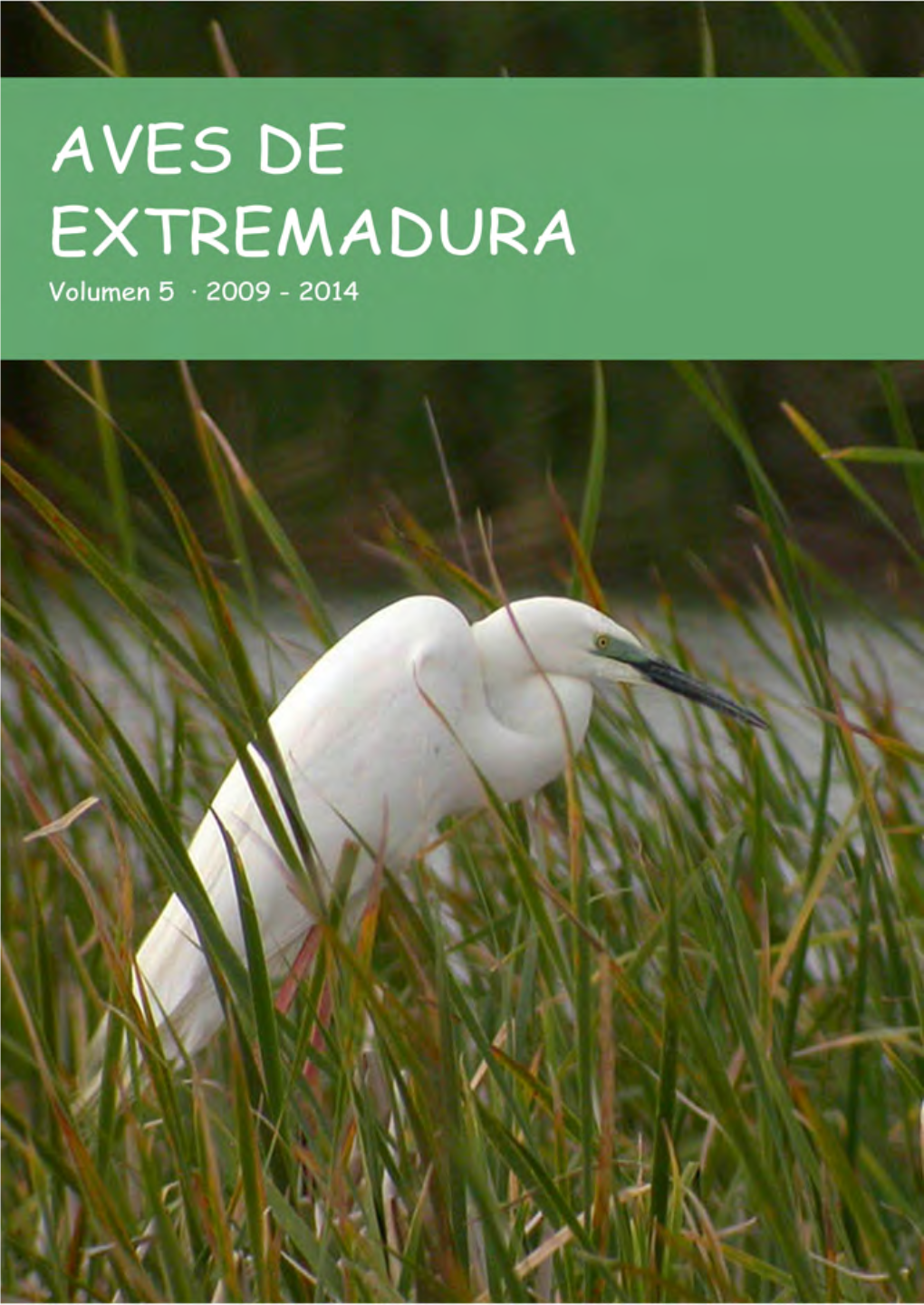 Aves De Extremadura