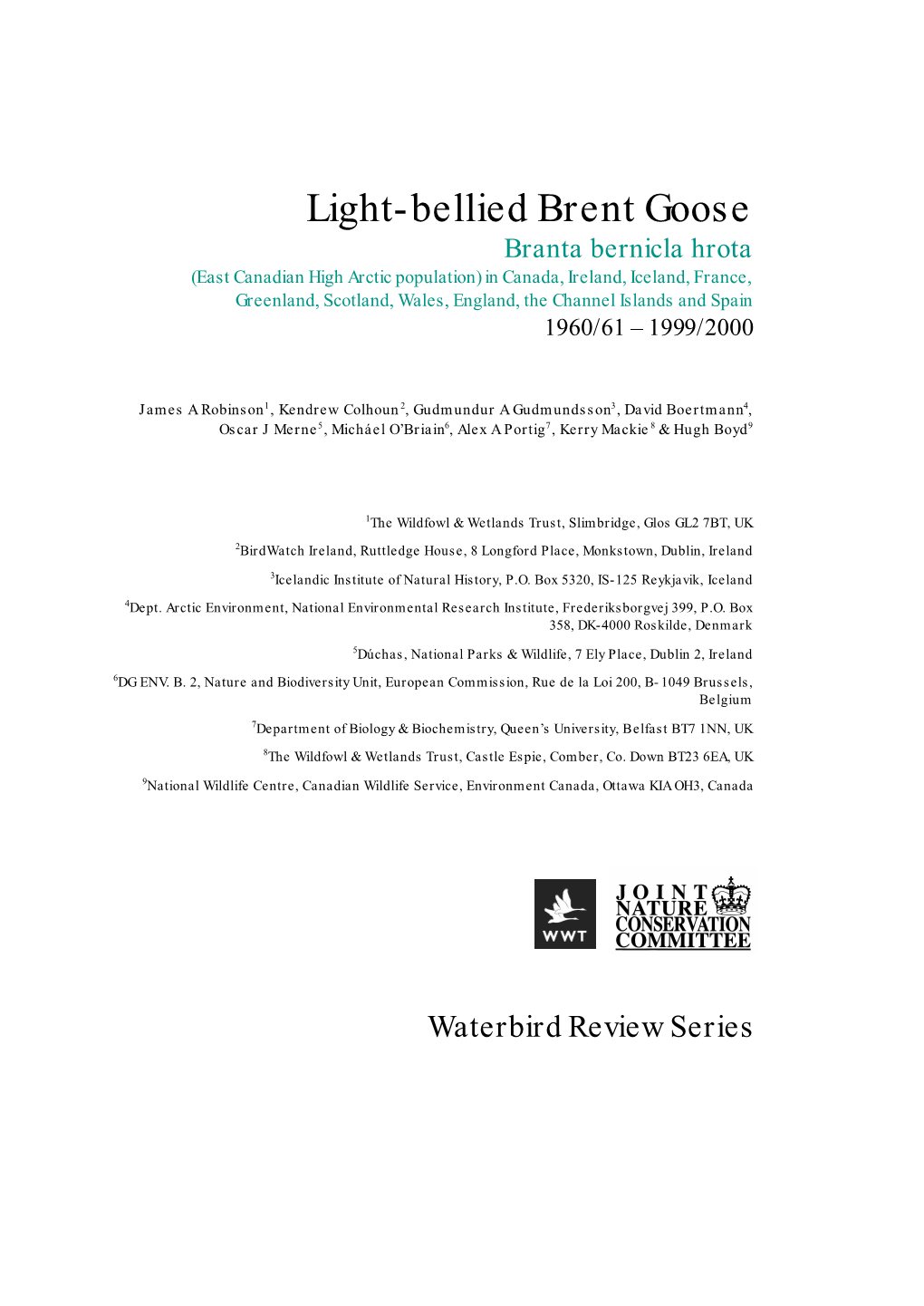 Canadian Light-Bellied Brent Goose