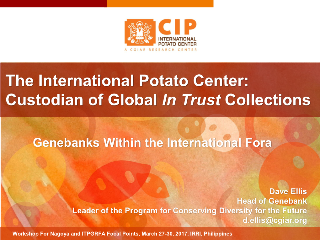 The International Potato Center: Custodian of Global in Trust Collections