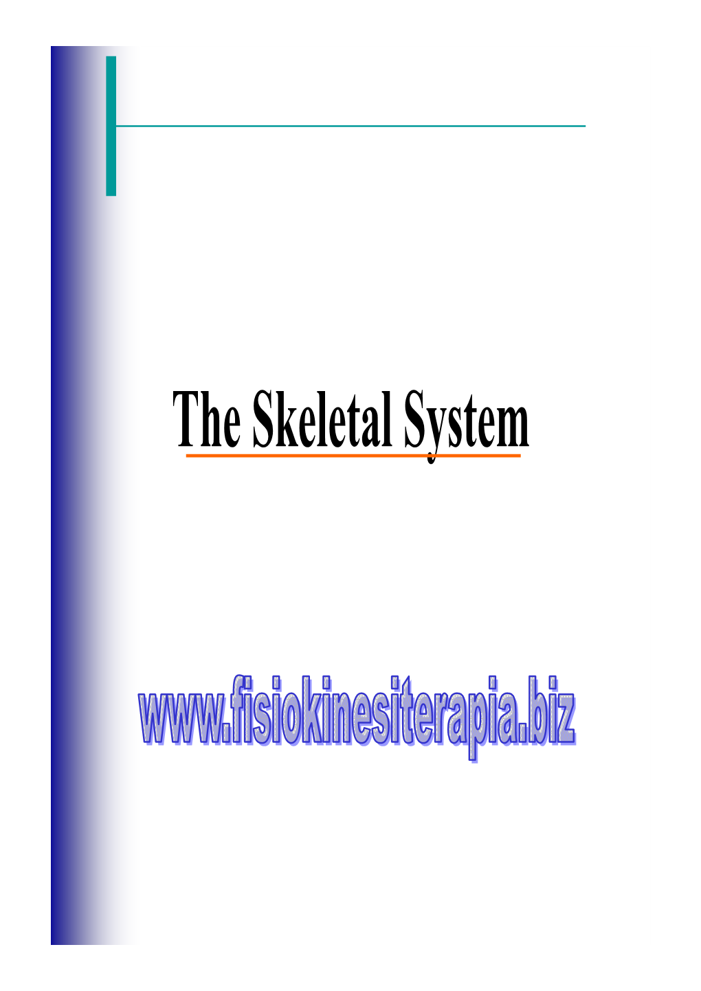 The Skeletal System Thethe Skeletalskeletal Systemsystem