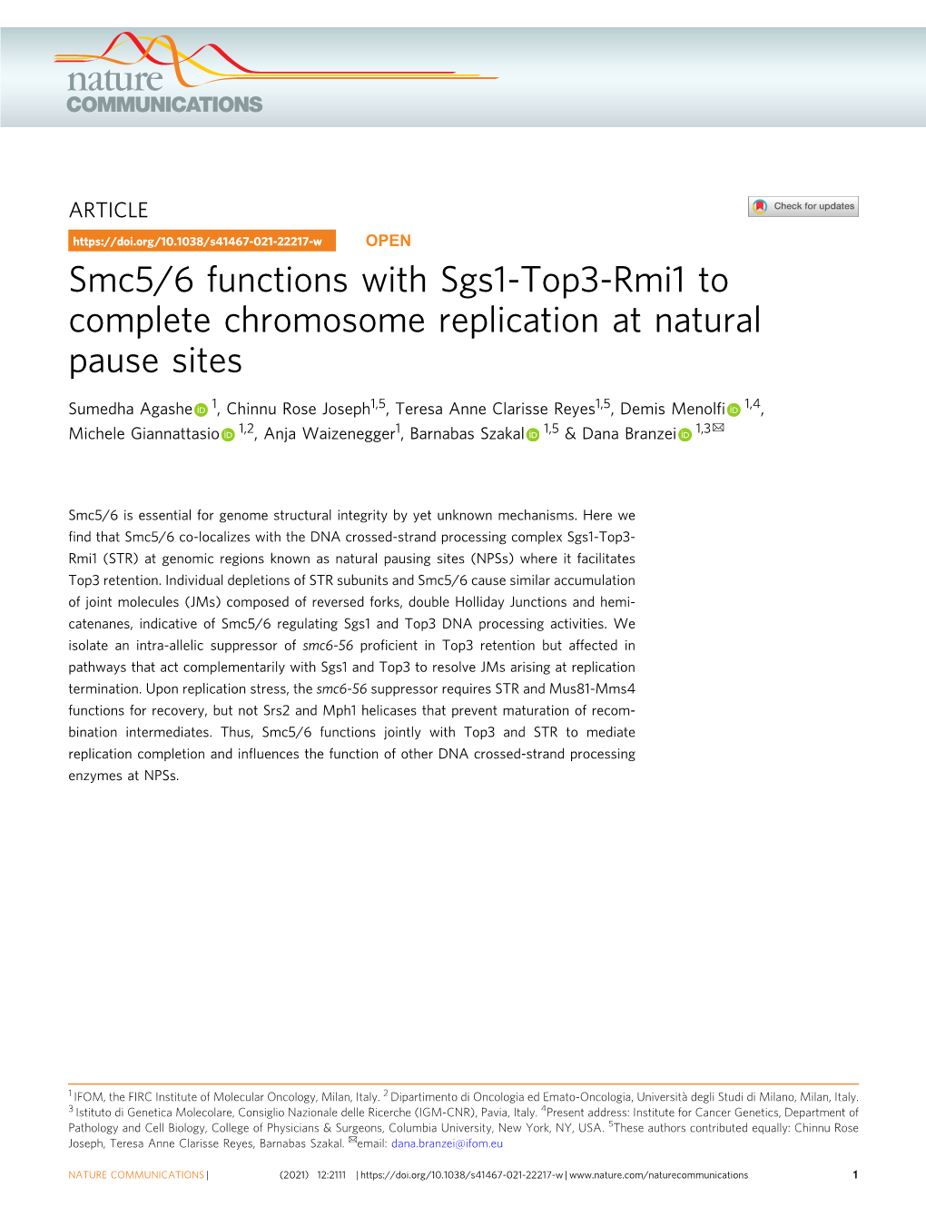 Smc5/6 Functions with Sgs1-Top3-Rmi1 to Complete Chromosome Replication at Natural Pause Sites