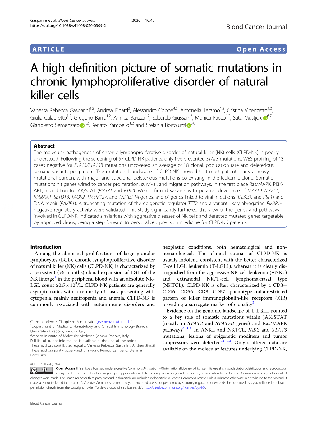 A High Definition Picture of Somatic Mutations in Chronic