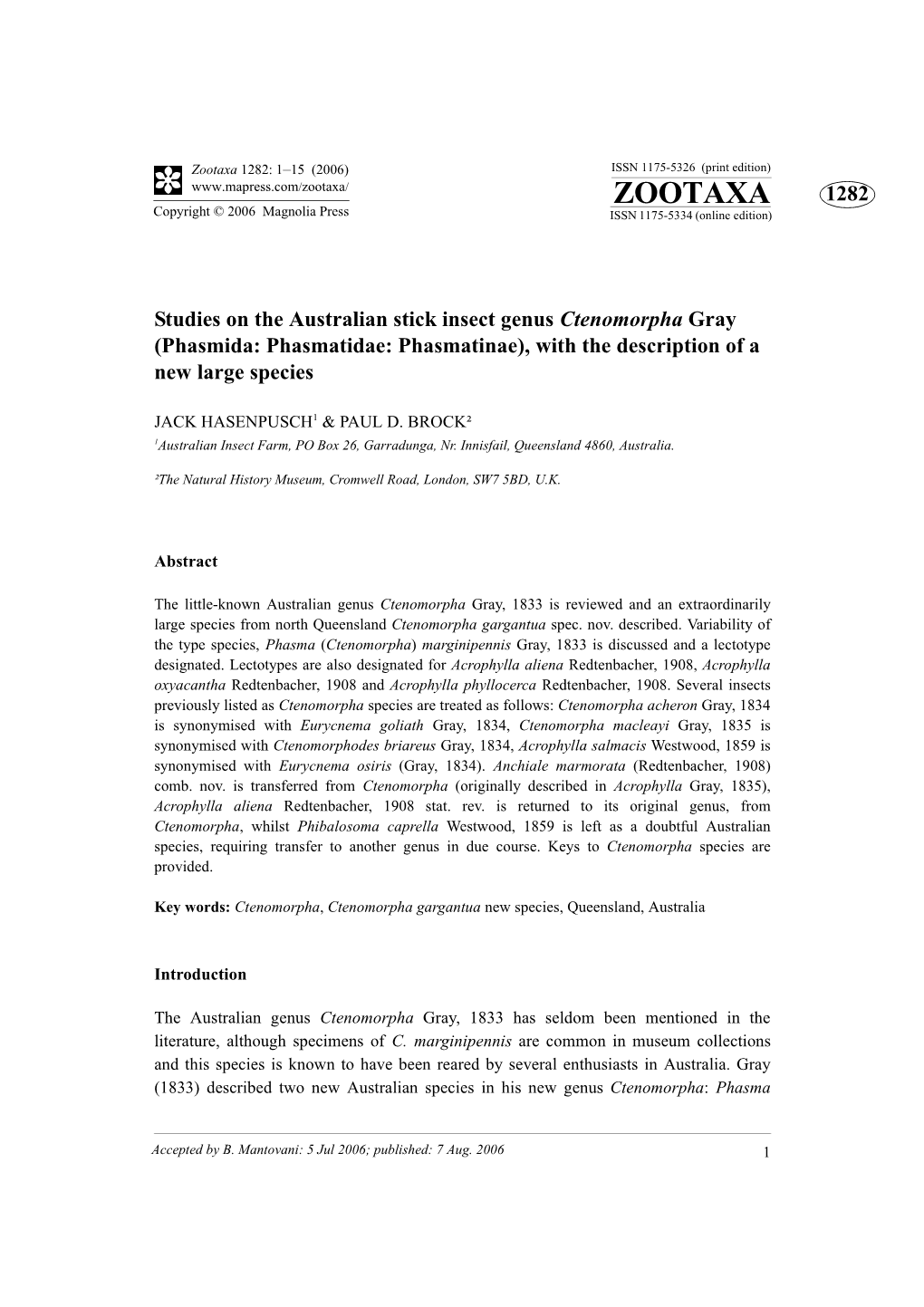 Phasmida: Phasmatidae: Phasmatinae), with the Description of a New Large Species