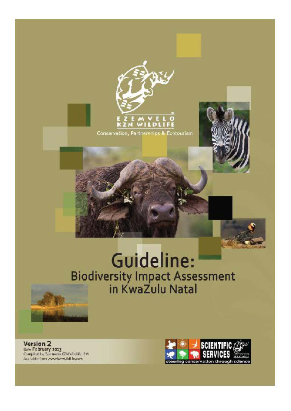 GUIDELINES for BIODIVERSITY IMPACT ASSESSMENTS in KZN February 2013, Final Draft