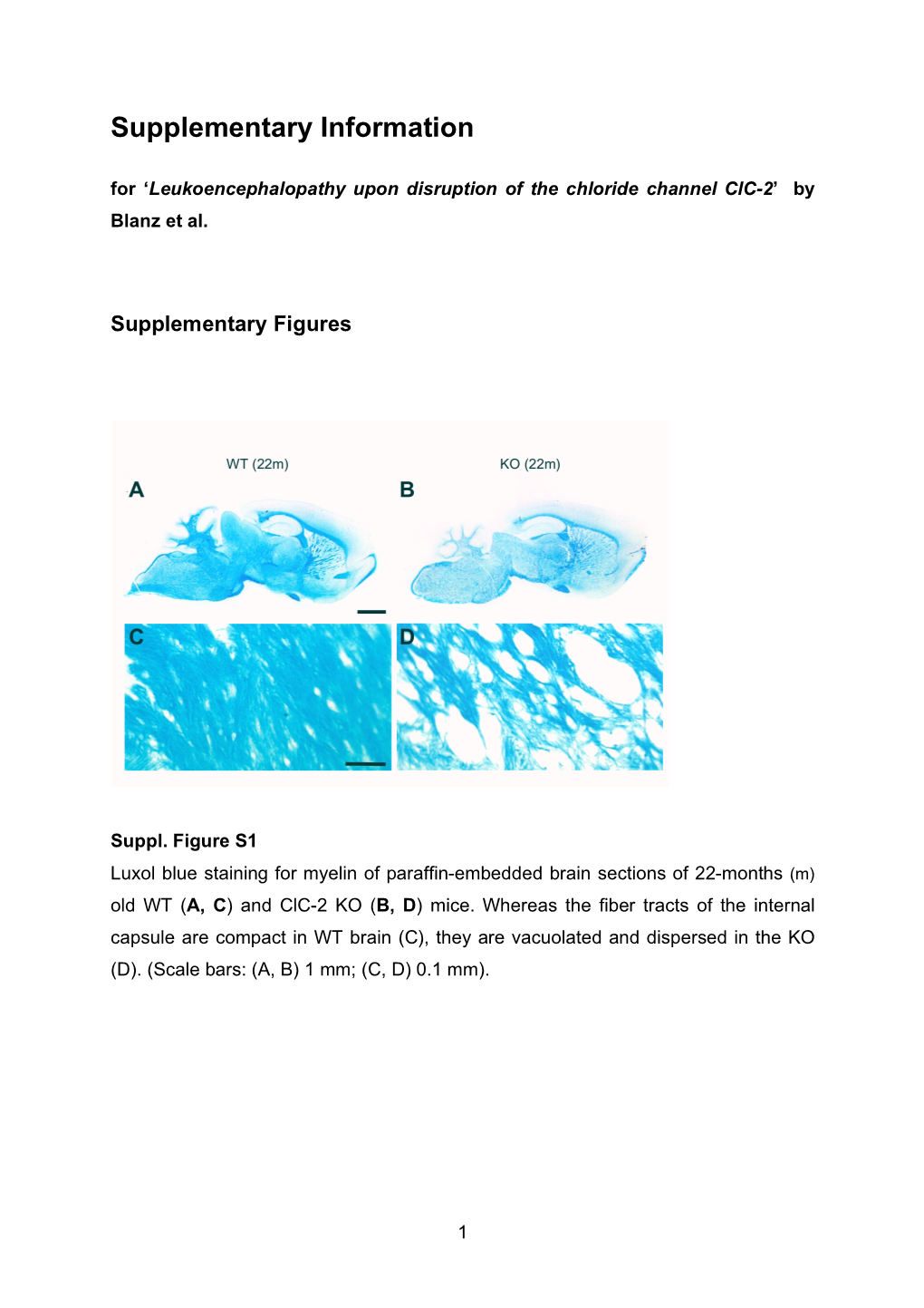 Supplementary Information for ‘Leukoencephalopathy Upon Disruption of the Chloride Channel Clc-2’ by Blanz Et Al