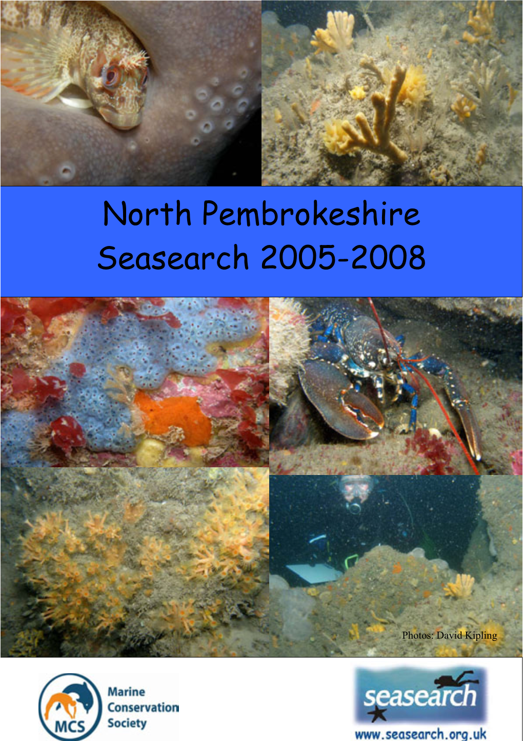 North Pembrokeshire 2005-2008