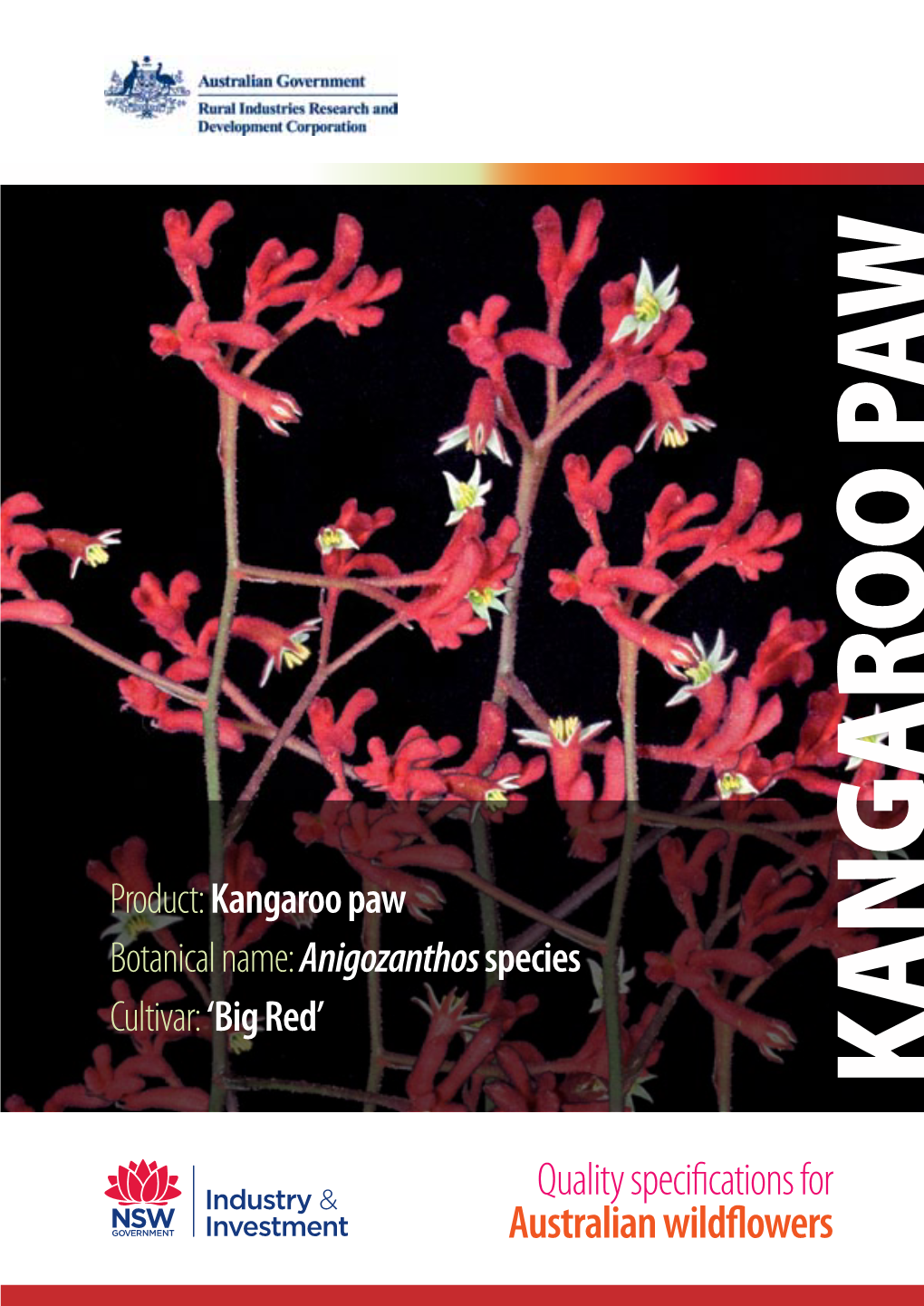 Product:Kangaroo Paw Botanical Name:Anigozanthos Species Cultivar
