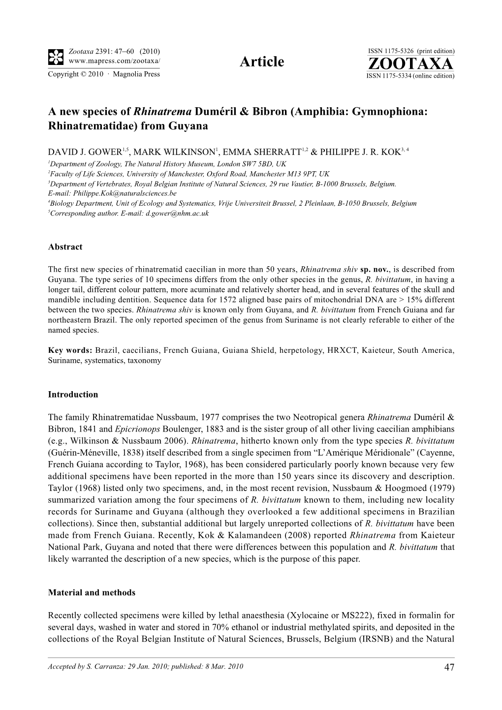 A New Species of Rhinatrema Duméril & Bibron (Amphibia: Gymnophiona:Rhinatrematidae) From