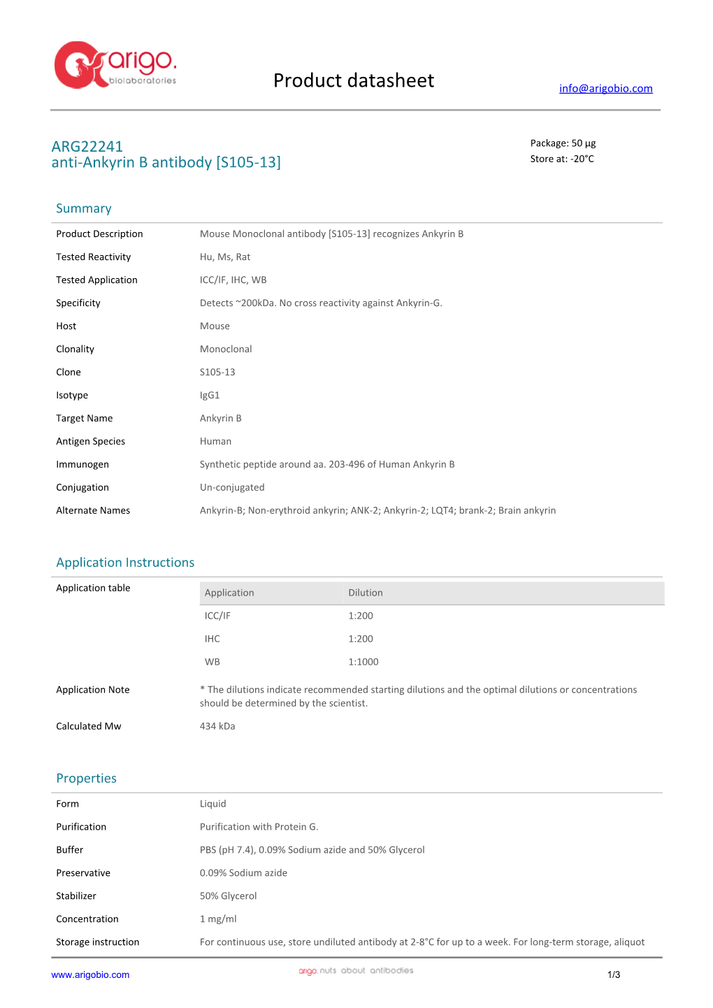 Anti-Ankyrin B Antibody [S105-13] (ARG22241)