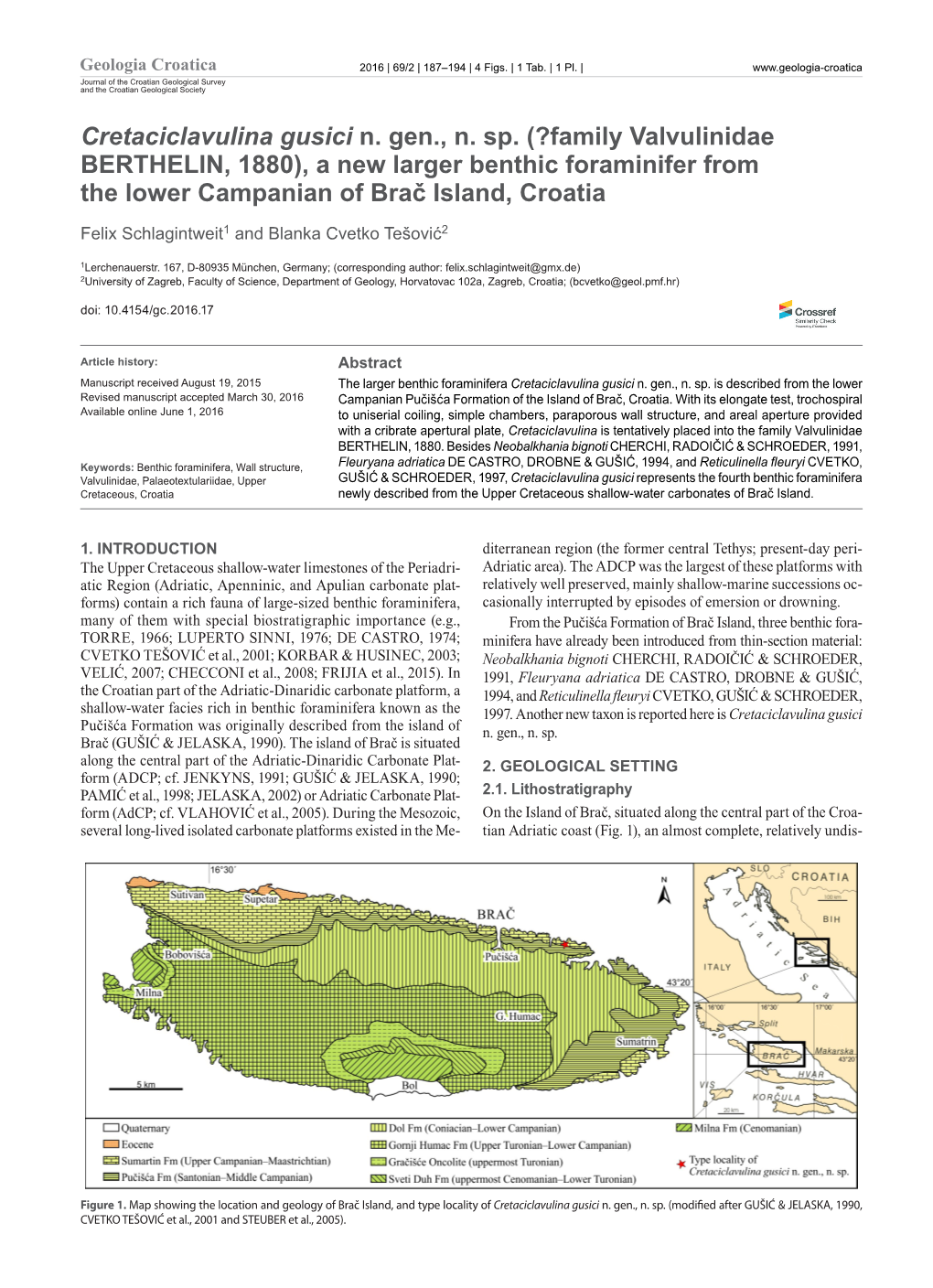 Cretaciclavulina Gusici N. Gen., N. Sp. (?Family Valvulinidae BERTHELIN, 1880), a New Larger Benthic Foraminifer from the Lower