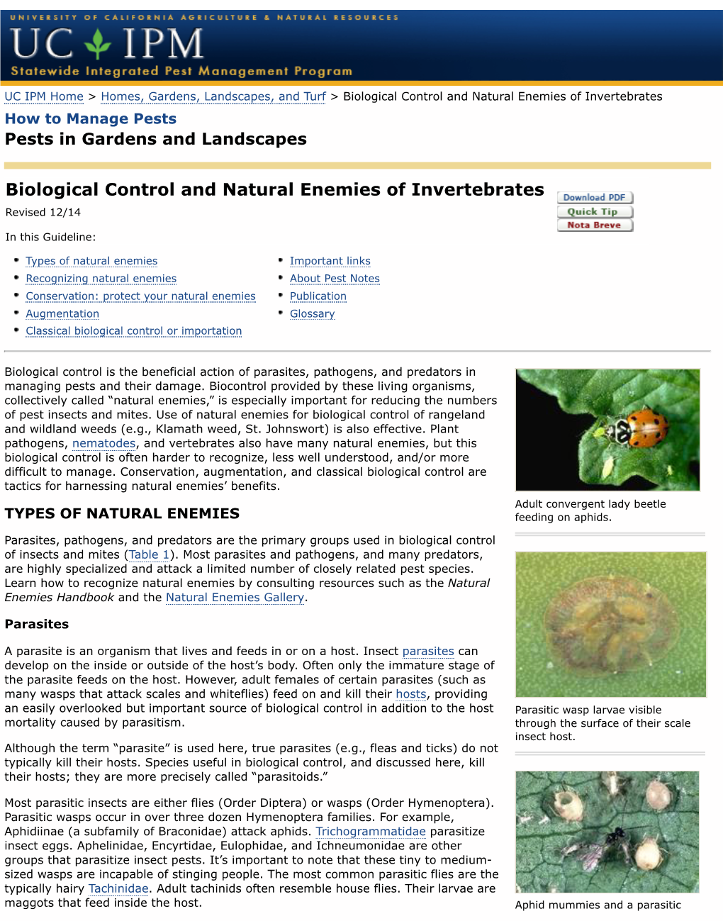 Biological Control and Natural Enemies of Invertebrates How to Manage Pests Pests in Gardens and Landscapes