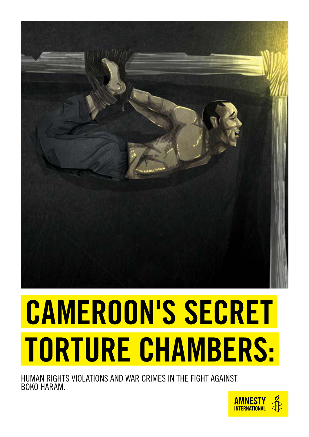 Cameroon's Secret Torture Chambers: Human Rights Violations and War Crimes in the Fight Against Boko Haram