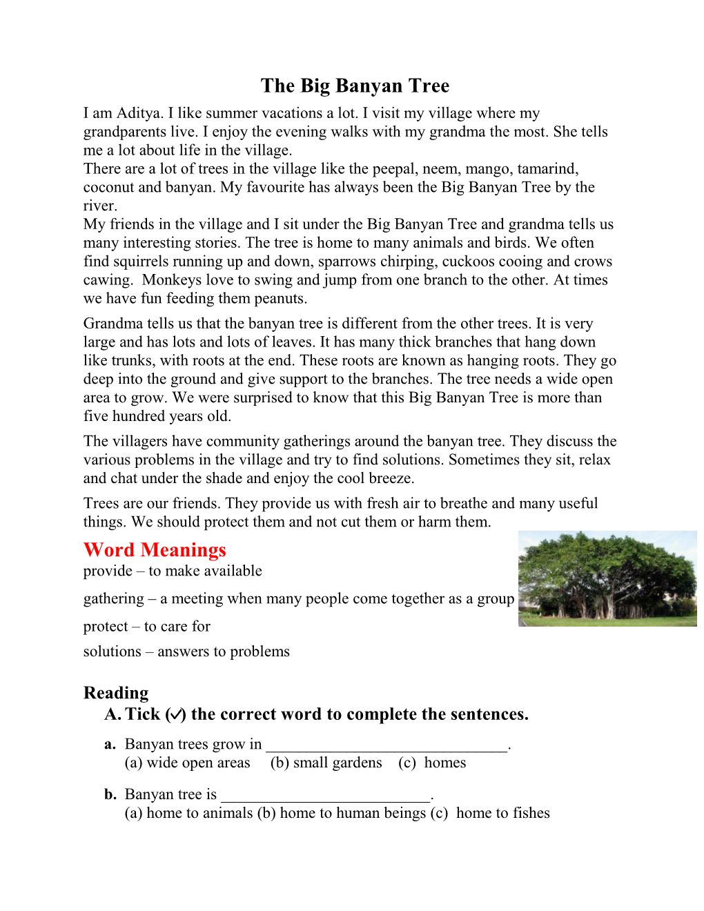 The Big Banyan Tree Word Meanings