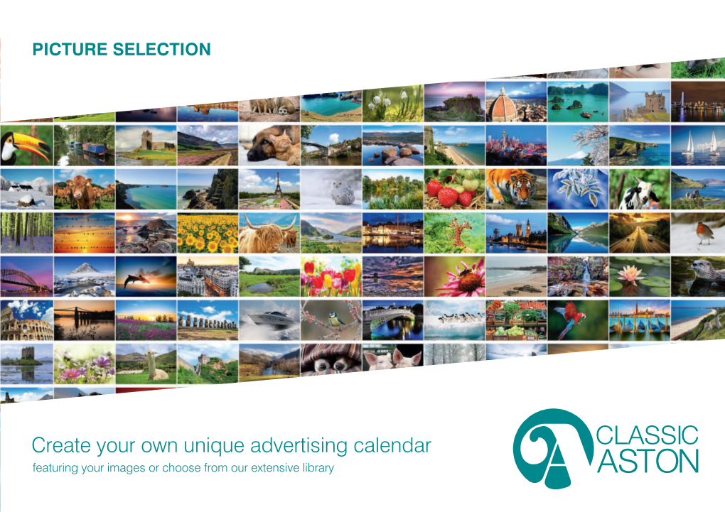 Download Our Picture Brochure Here