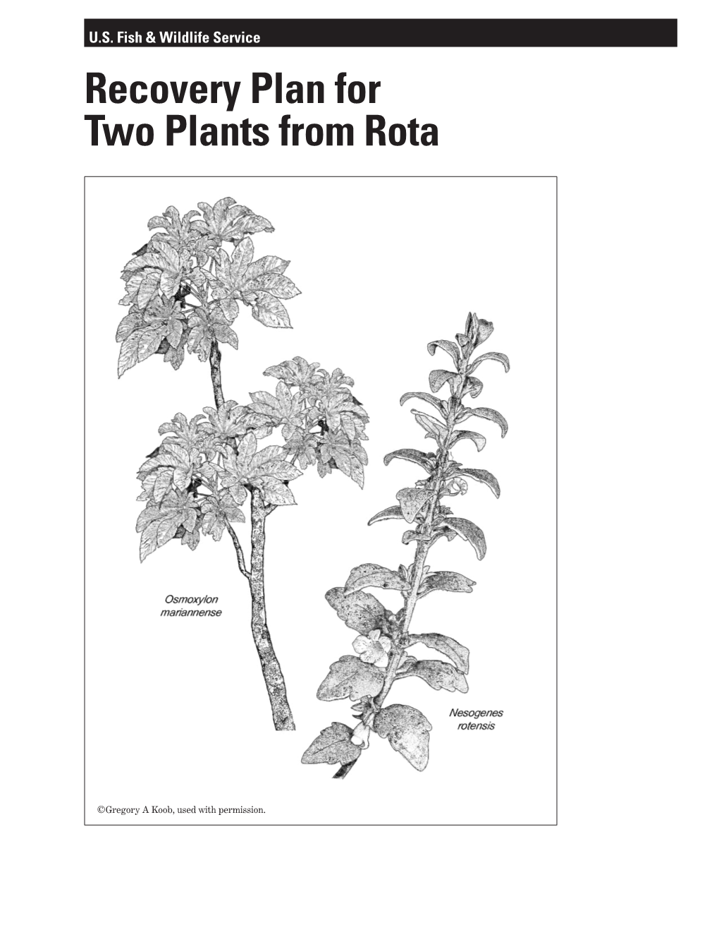 Recovery Plan for Two Plants from Rota