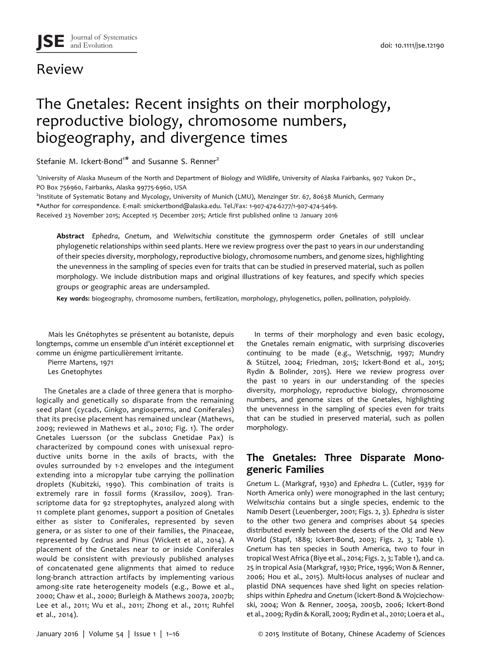 The Gnetales: Recent Insights on Their Morphology, Reproductive Biology, Chromosome Numbers, Biogeography, and Divergence Times