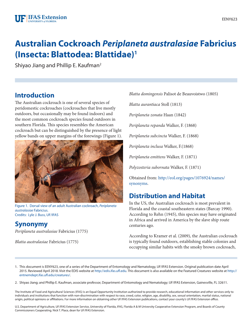 Australian Cockroach Periplaneta Australasiae Fabricius (Insecta: Blattodea: Blattidae)1 Shiyao Jiang and Phillip E