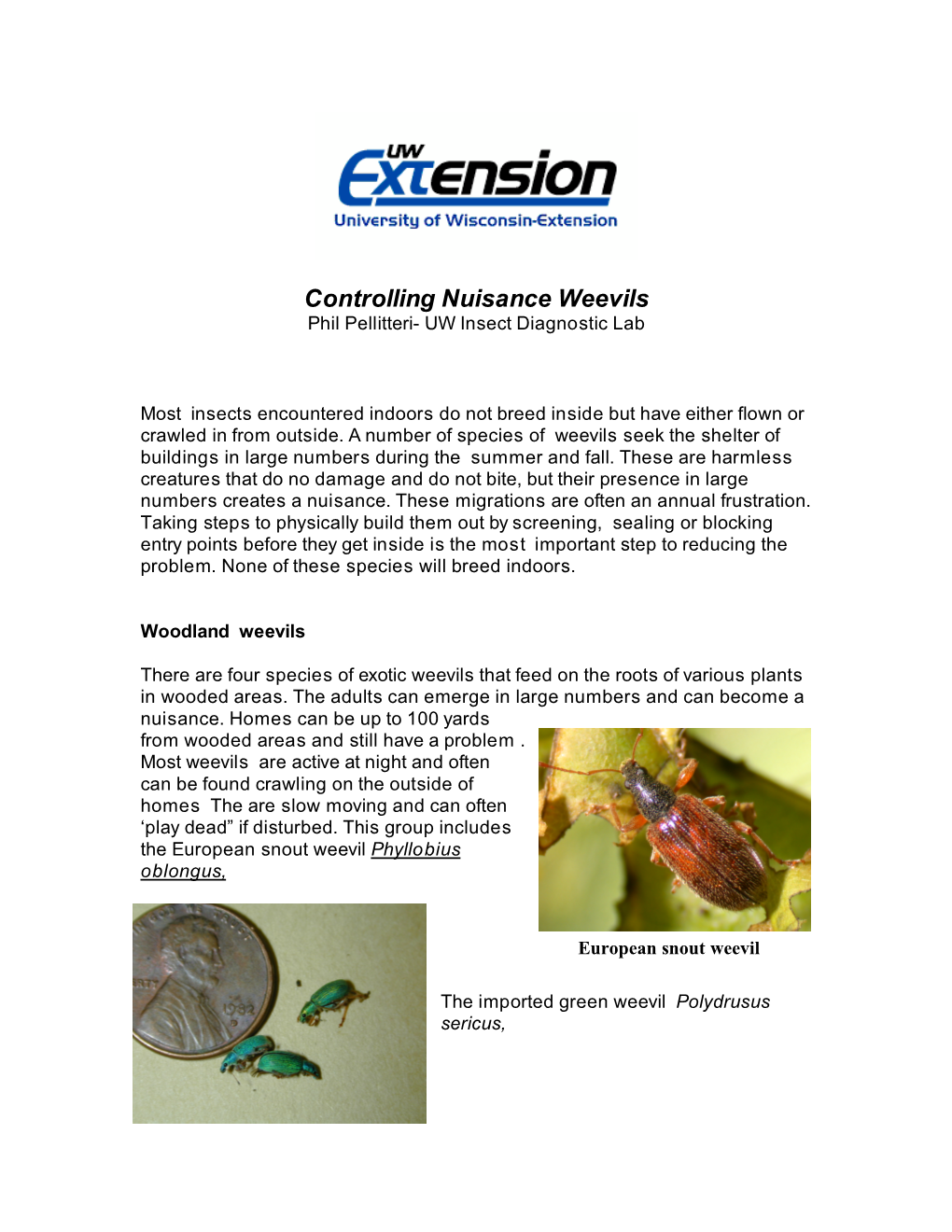 Controlling Nuisance Weevils Phil Pellitteri- UW Insect Diagnostic Lab