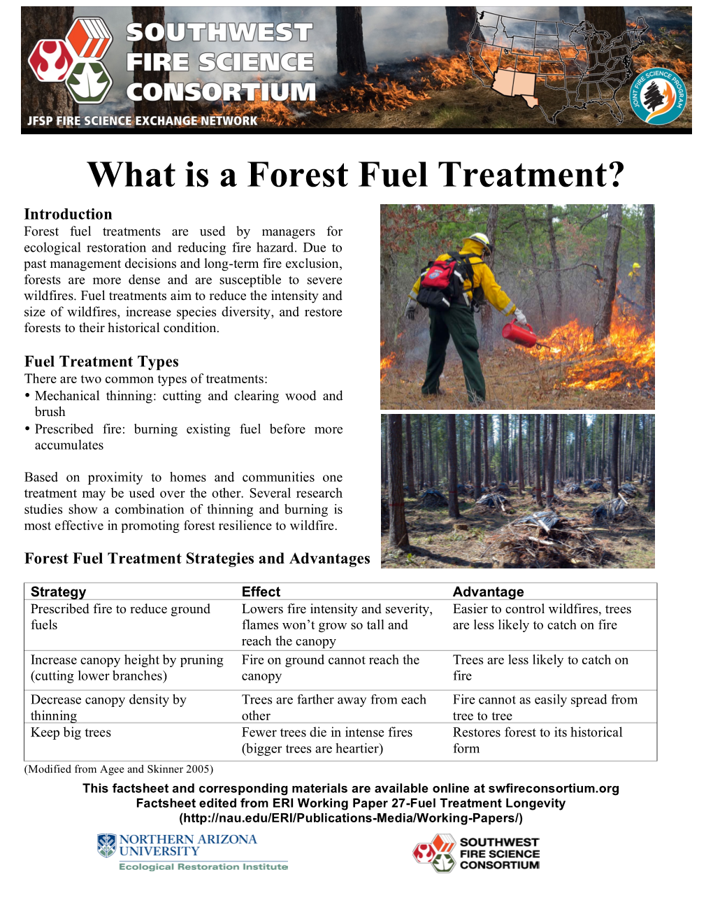 What Is a Forest Fuel Treatment? Introduction Forest Fuel Treatments Are Used by Managers for Ecological Restoration and Reducing Fire Hazard