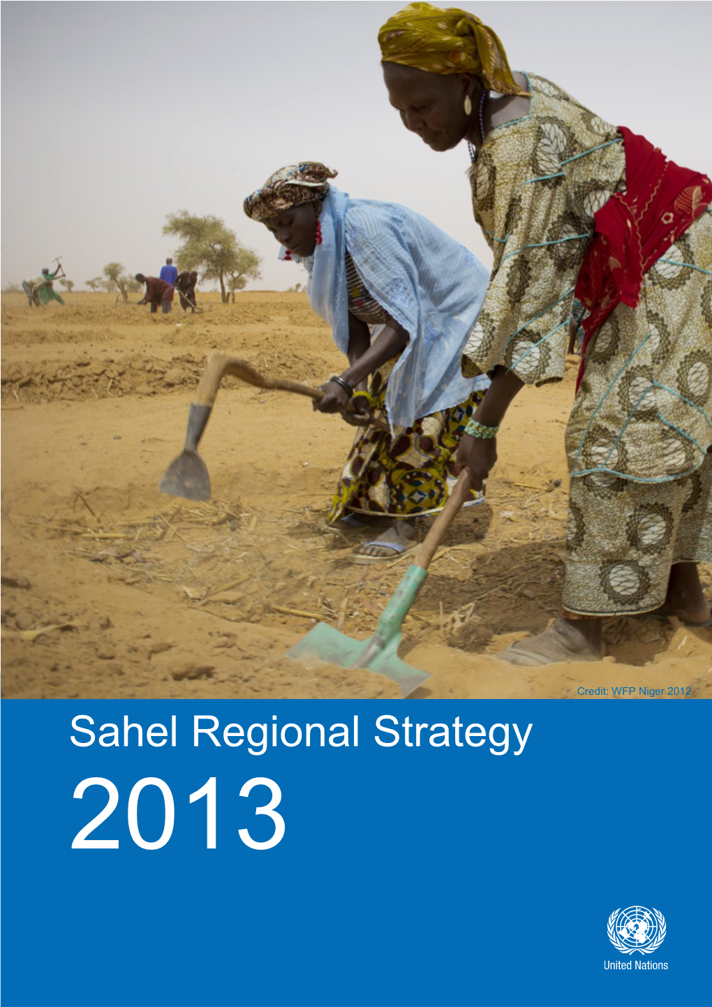 2013 Sahel Regional Strategy