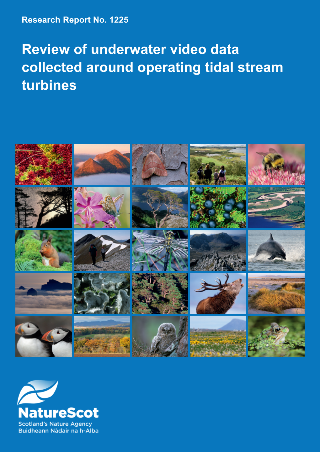 Review of Underwater Video Data Collected Around Operating Tidal Stream Turbines RESEARCH REPORT