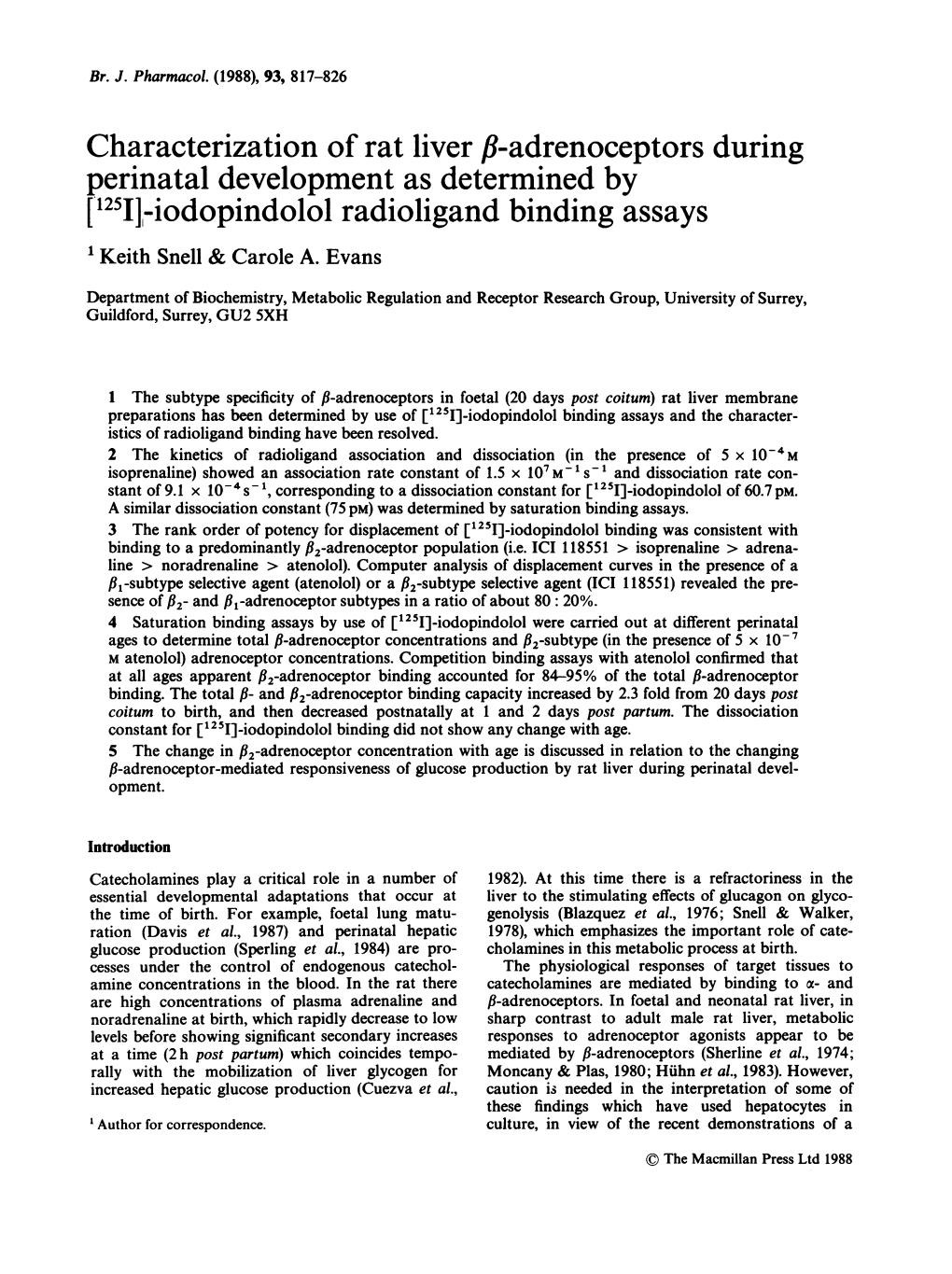 Iodopindolol Radioligand Binding Assays