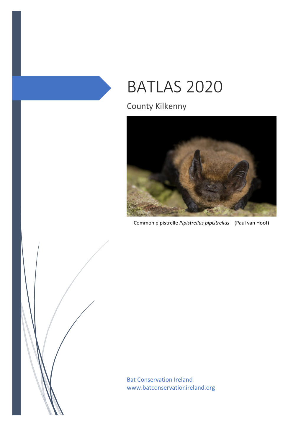 BATLAS 2020 County Kilkenny