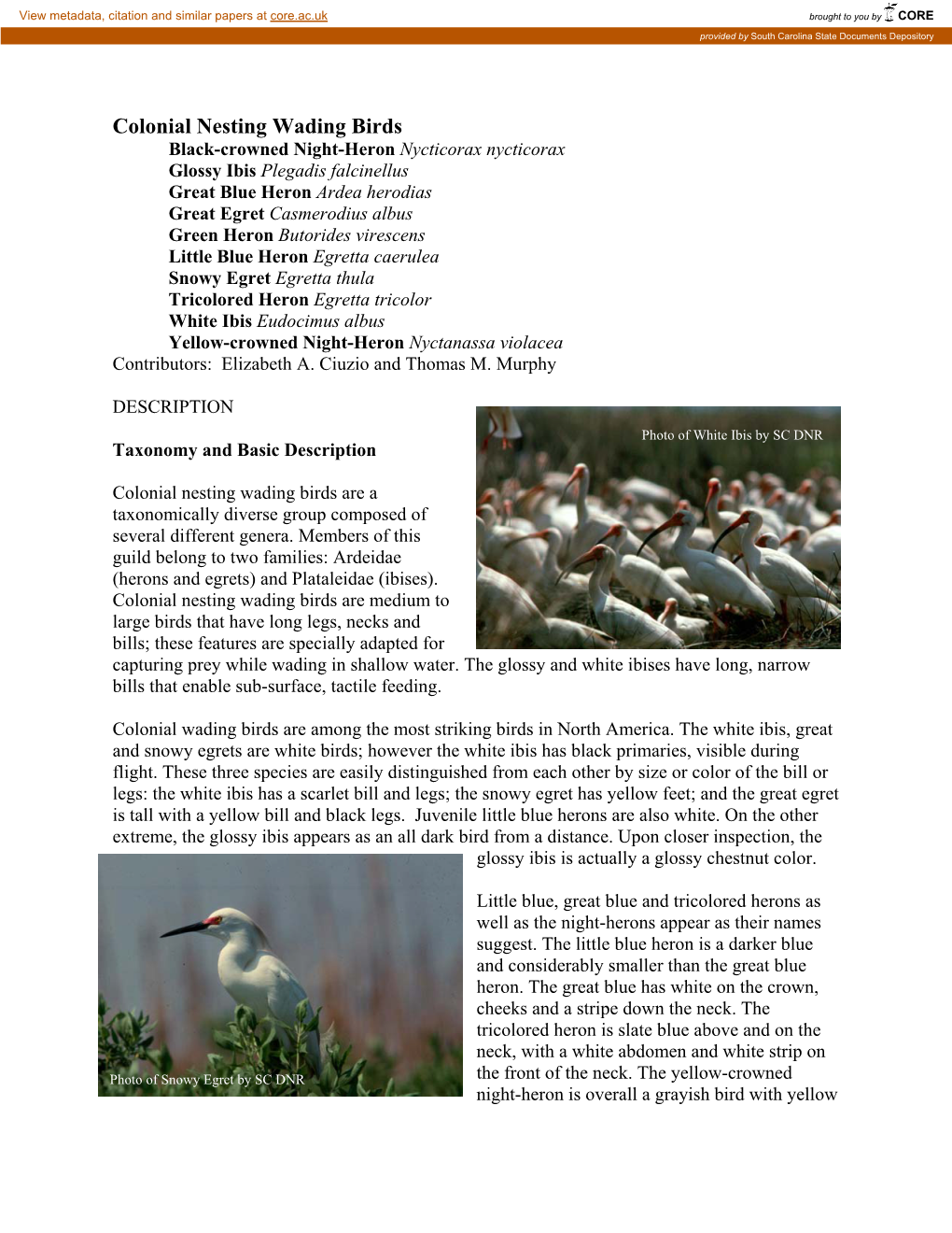 Colonial Nesting Wading Birds