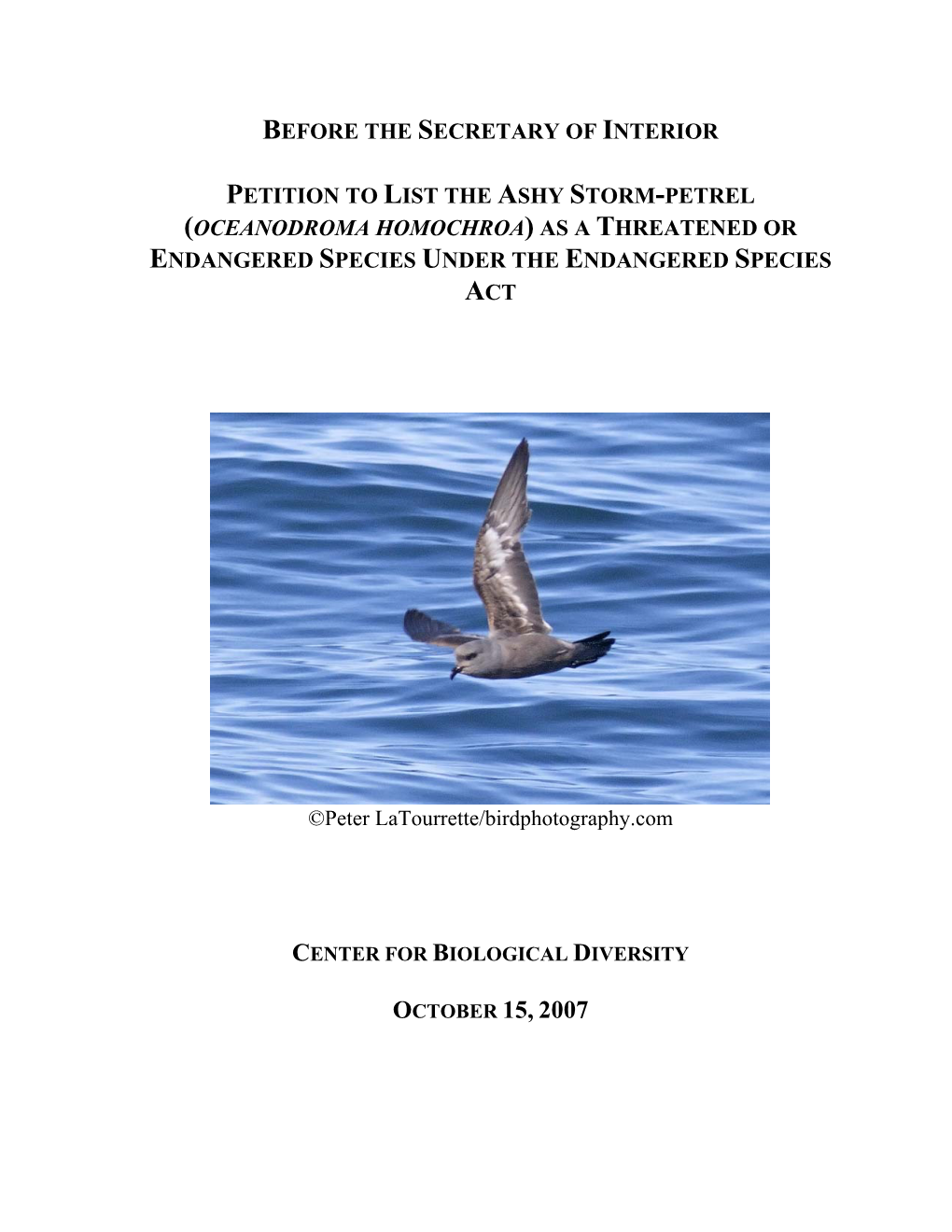 Ashy Storm-Petrel (Oceanodroma Homochroa) As a Threatened Or Endangered Species Under the Endangered Species Act