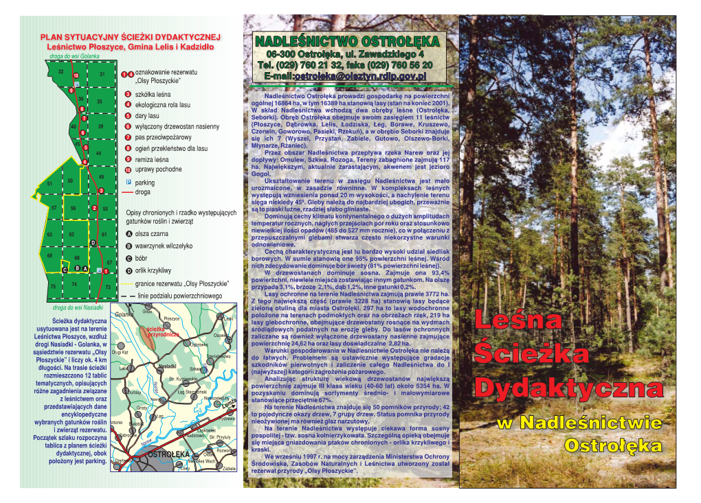 Leśna Ścieżka Dydaktyczna W Nadleśnictwie Ostrołęka