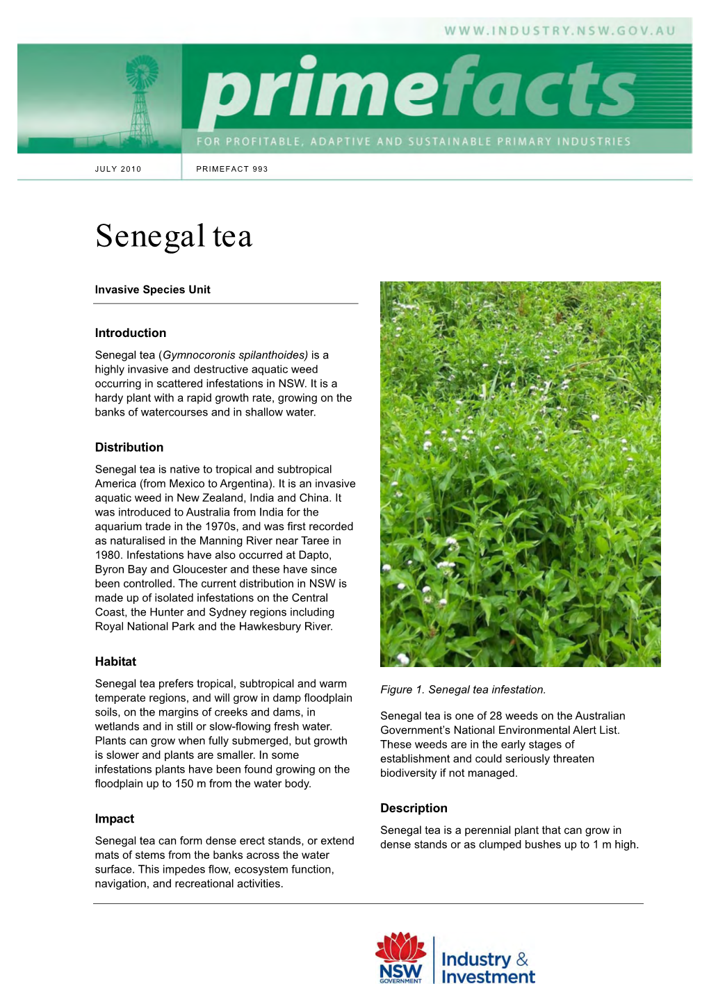 Senegal Tea Plant – Gymnocoronis Spilanthoides Local Control Authorities in NSW Have Achieved Weed Management Guide