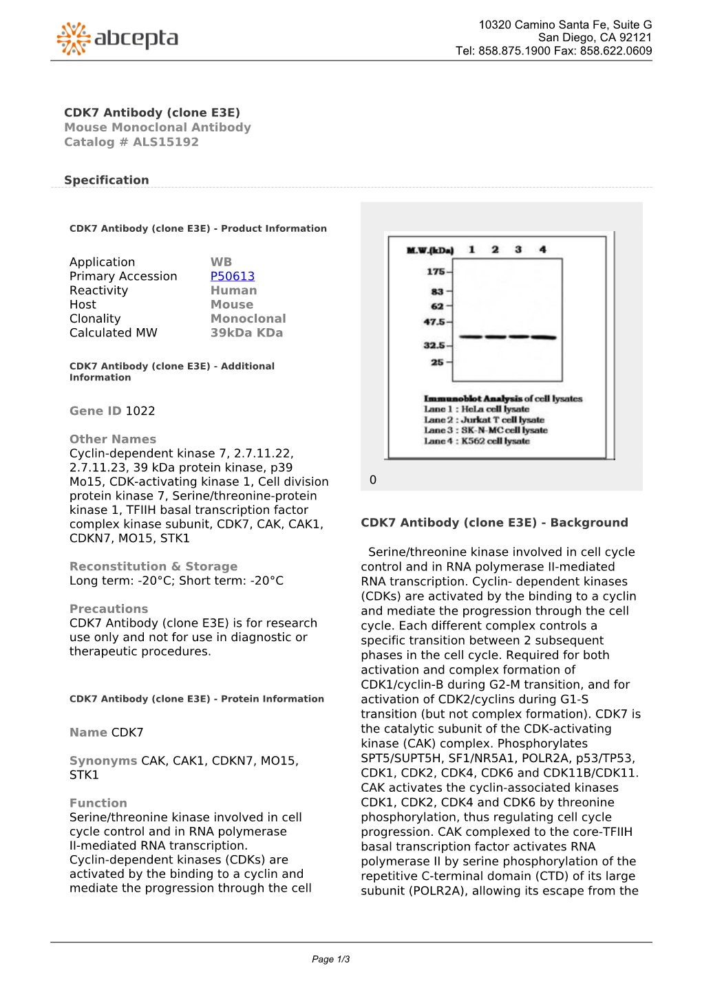 CDK7 Antibody (Clone E3E) Mouse Monoclonal Antibody Catalog # ALS15192