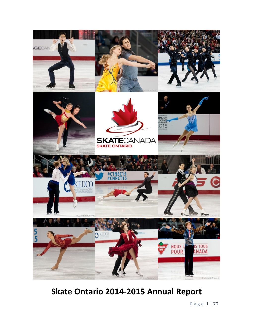 Skate Ontario 2014-2015 Annual Report
