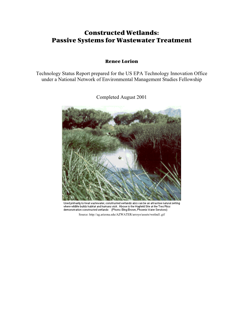 Constructed Wetlands: Passive Systems for Wastewater Treatment