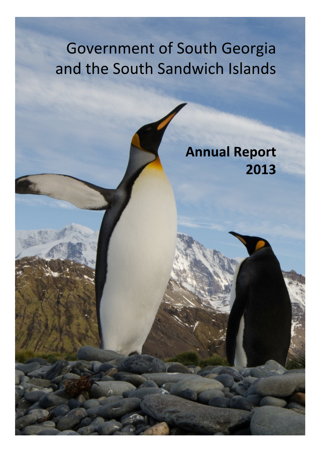 GSGSSI 2013 Annual Report.Pptx