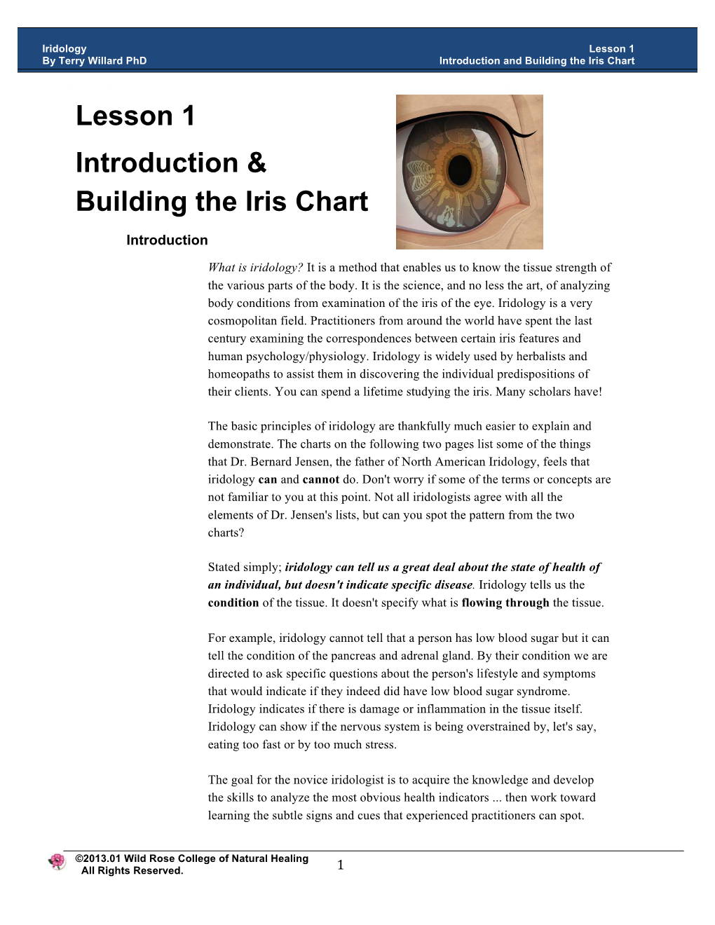 Iridology.Coursesample