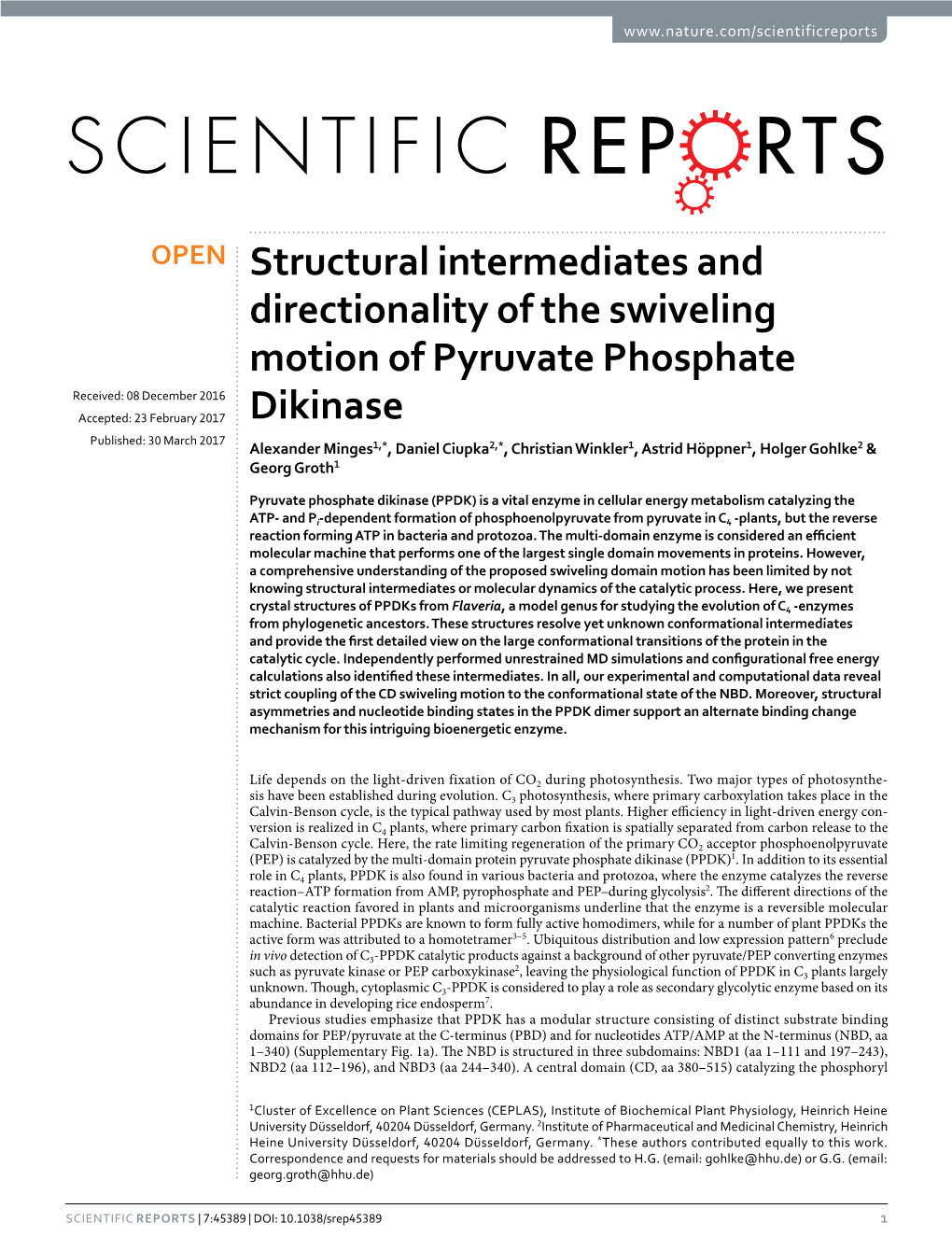 Structural Intermediates and Directionality of the Swiveling