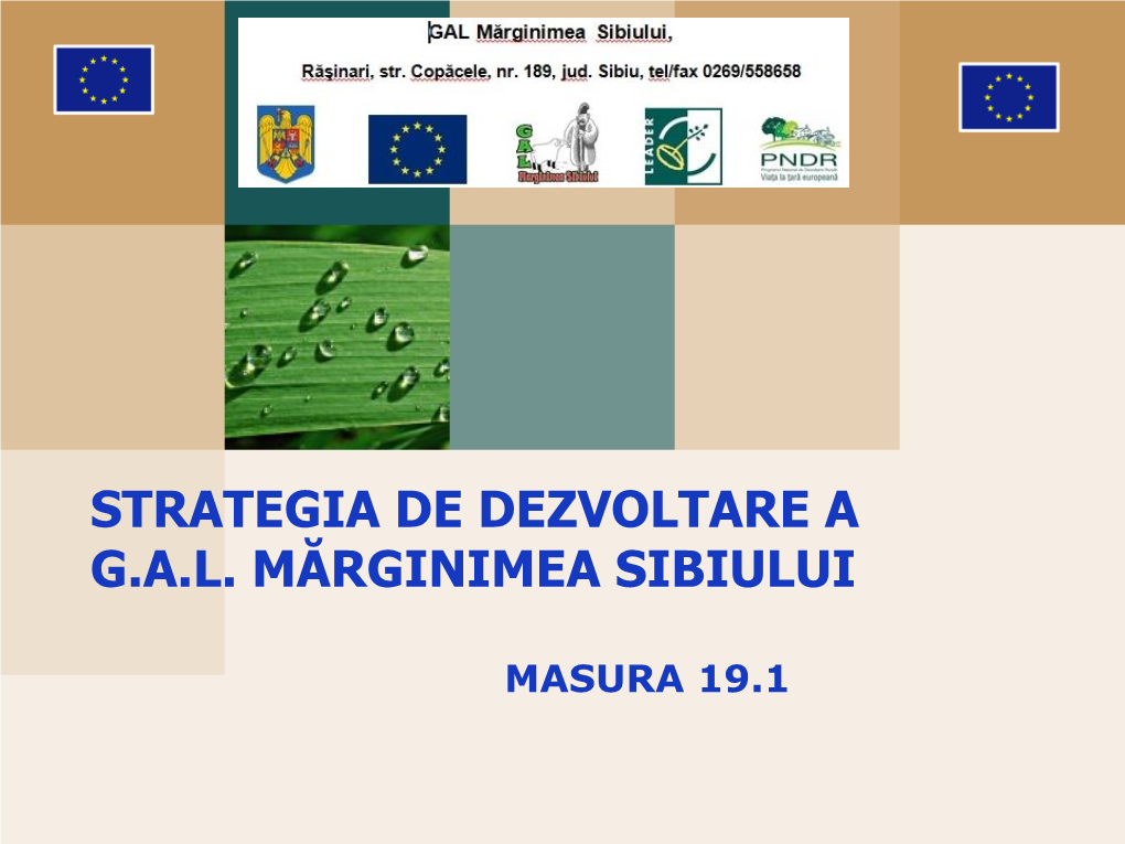 Strategia De Dezvoltare a G.A.L. Mărginimea Sibiului