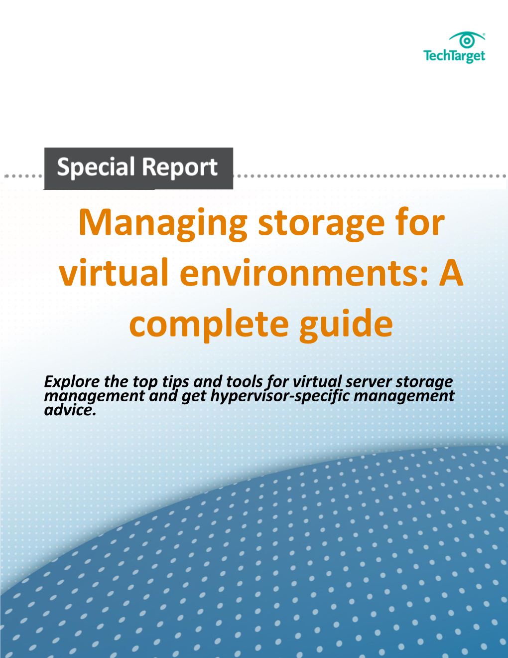 Managing Storage for Virtual Environments: a Complete Guide