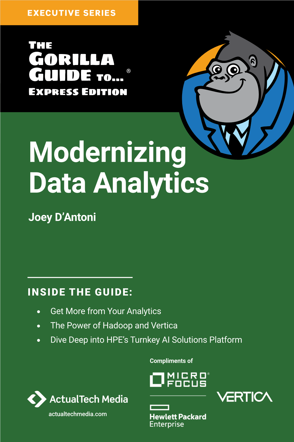 The Gorilla Guide To…® (Express Edition) Modernizing Data Analytics