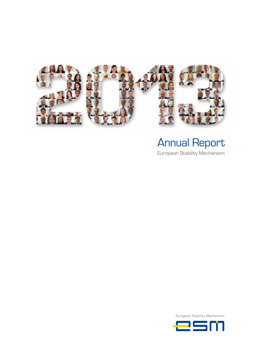 2013 Annual Report