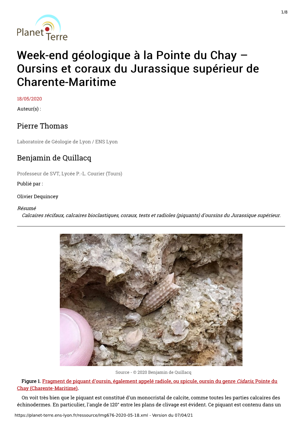Week-End Géologique À La Pointe Du Chay – Oursins Et Coraux Du Jurassique Supérieur De Charente-Maritime