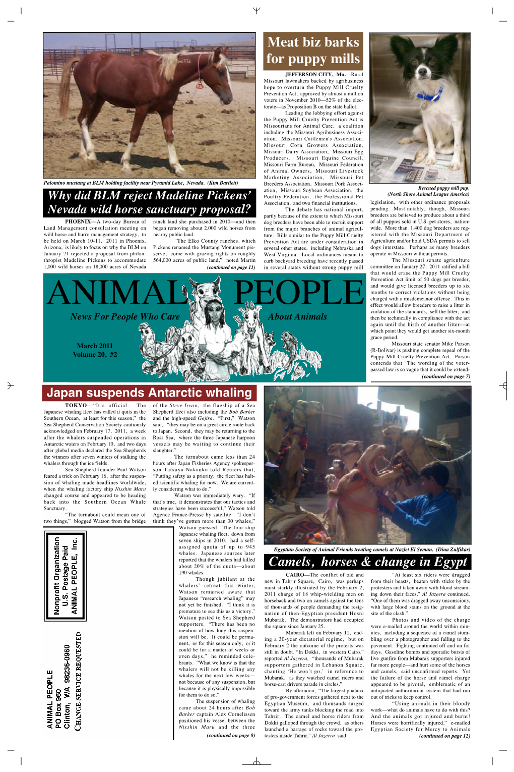 Animal People News